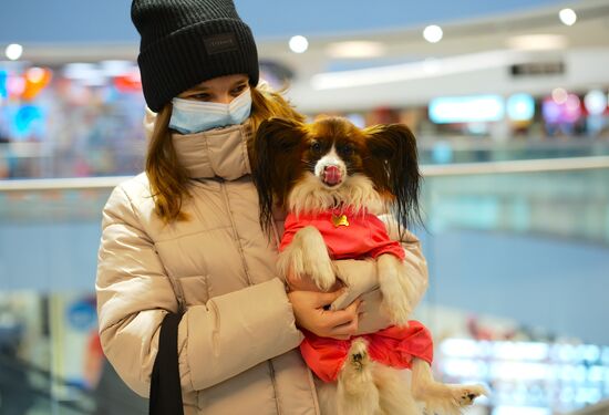 Russia Coronavirus Daily Life