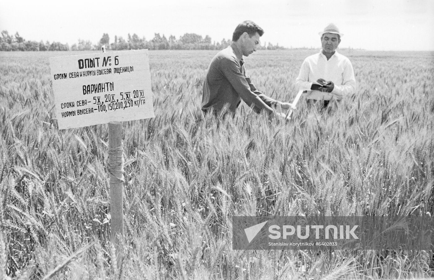 Kalinin Turkmen Agricultural Institute