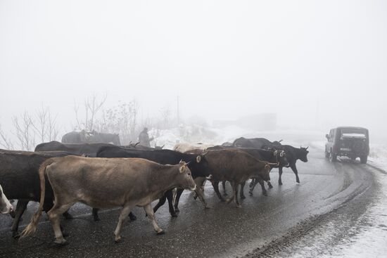 Azerbaijan Armenia Ceasefire