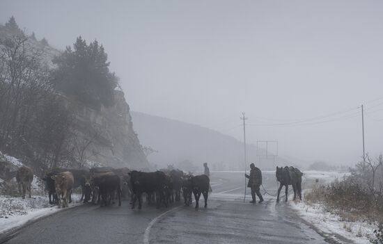 Azerbaijan Armenia Ceasefire