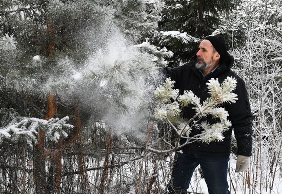 Russia Christmas Tree Preparations
