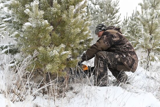 Russia Christmas Tree Preparations