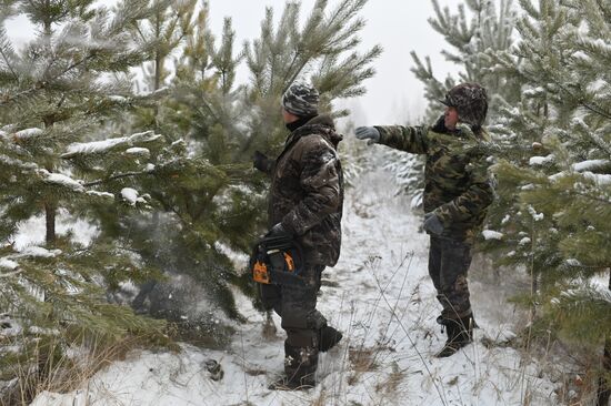 Russia Christmas Tree Preparations