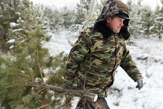 Russia Christmas Tree Preparations