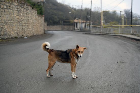 Azerbaijan Armenia Ceasefire
