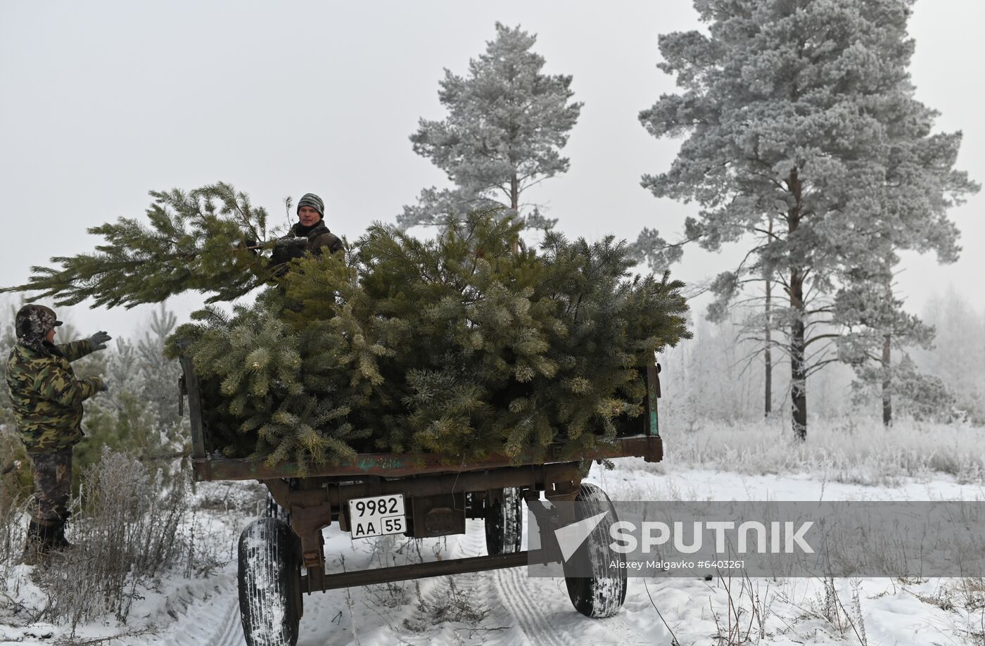 Russia New Year Preparations