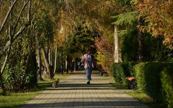 Abkhazia Autumn