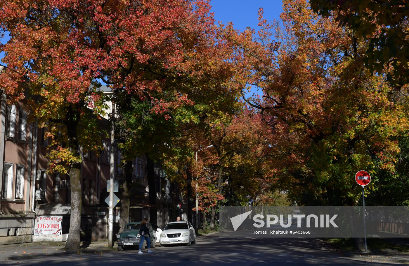 Abkhazia Autumn
