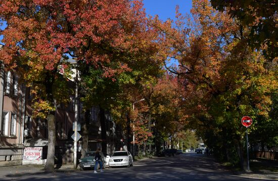 Abkhazia Autumn