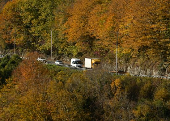 Abkhazia Autumn