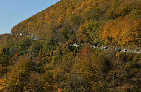 Abkhazia Autumn