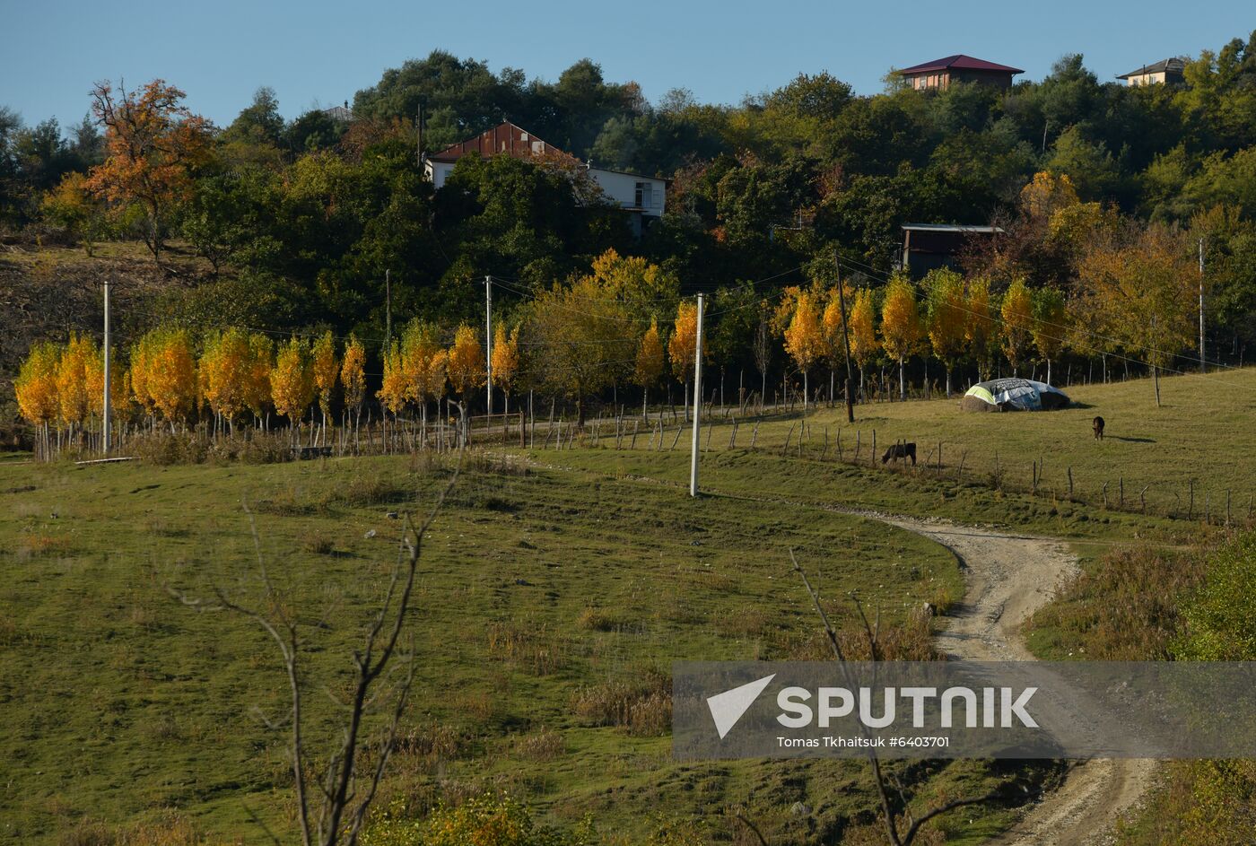 Abkhazia Autumn