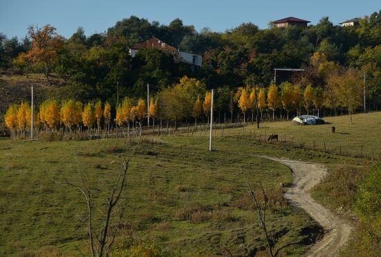 Abkhazia Autumn