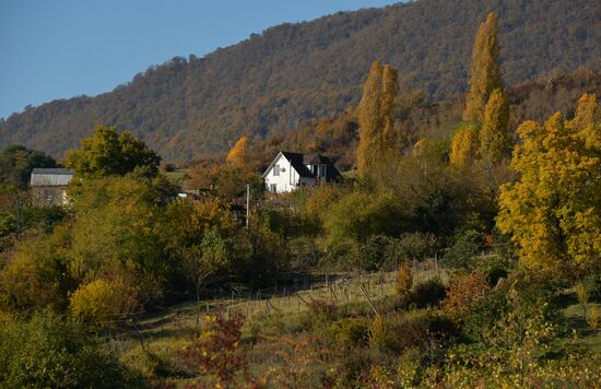 Abkhazia Autumn