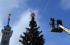 A municipal worker decorates a New Year Tree installed near the Northern River Station for the upcoming New Year and Christmas season, in Moscow, Russia. Location: Russia, Moscow. Author: Kirill Kallinikov/Sputnik. Russia New Year Preparations
