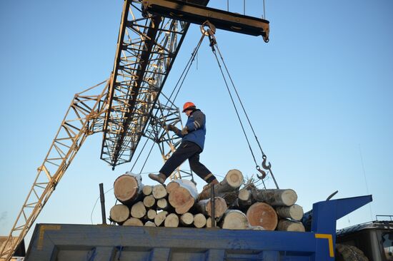 Russia Verkhnyaya Tura Economic Development