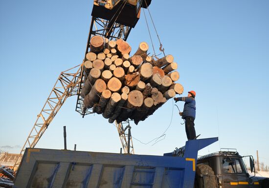 Russia Verkhnyaya Tura Economic Development