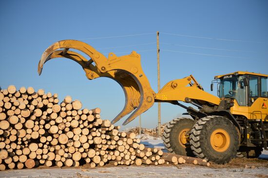 Russia Verkhnyaya Tura Economic Development