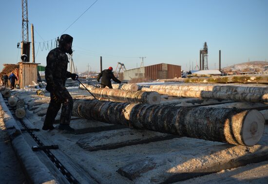 Russia Verkhnyaya Tura Economic Development