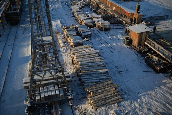 Russia Verkhnyaya Tura Economic Development