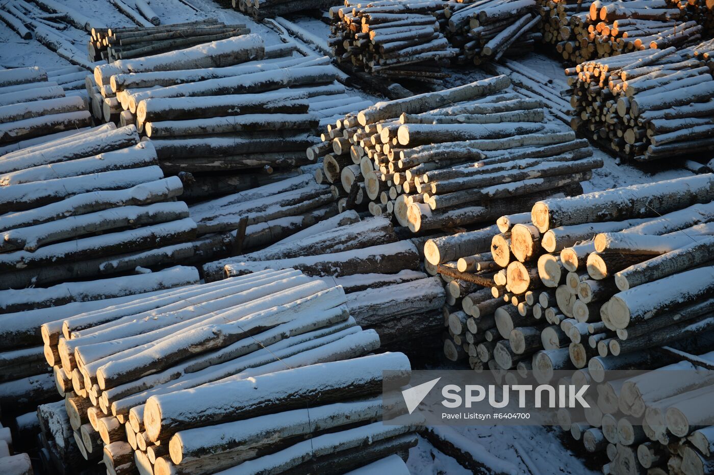 Russia Verkhnyaya Tura Economic Development