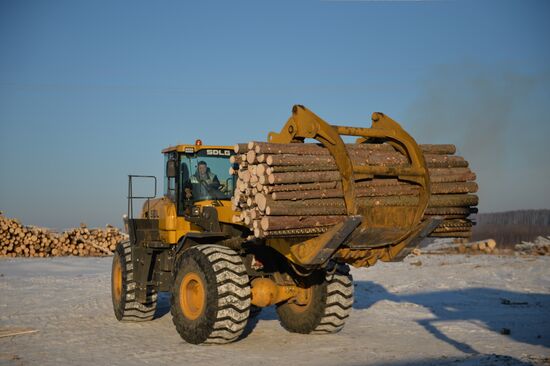 Russia Verkhnyaya Tura Economic Development