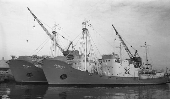 Whalers Mirny and Bystry