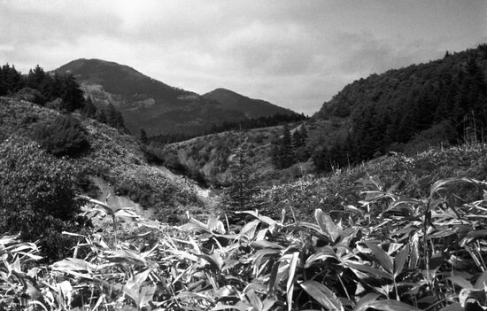 Kunashir Island of Kuril Islands