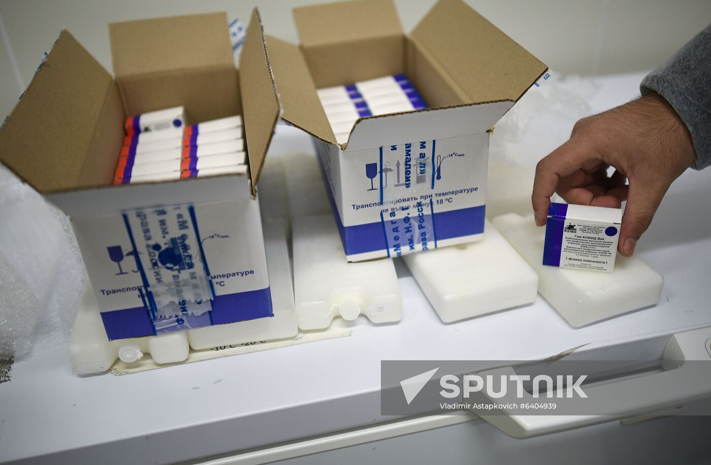 Russia Coronavirus Vaccine Export