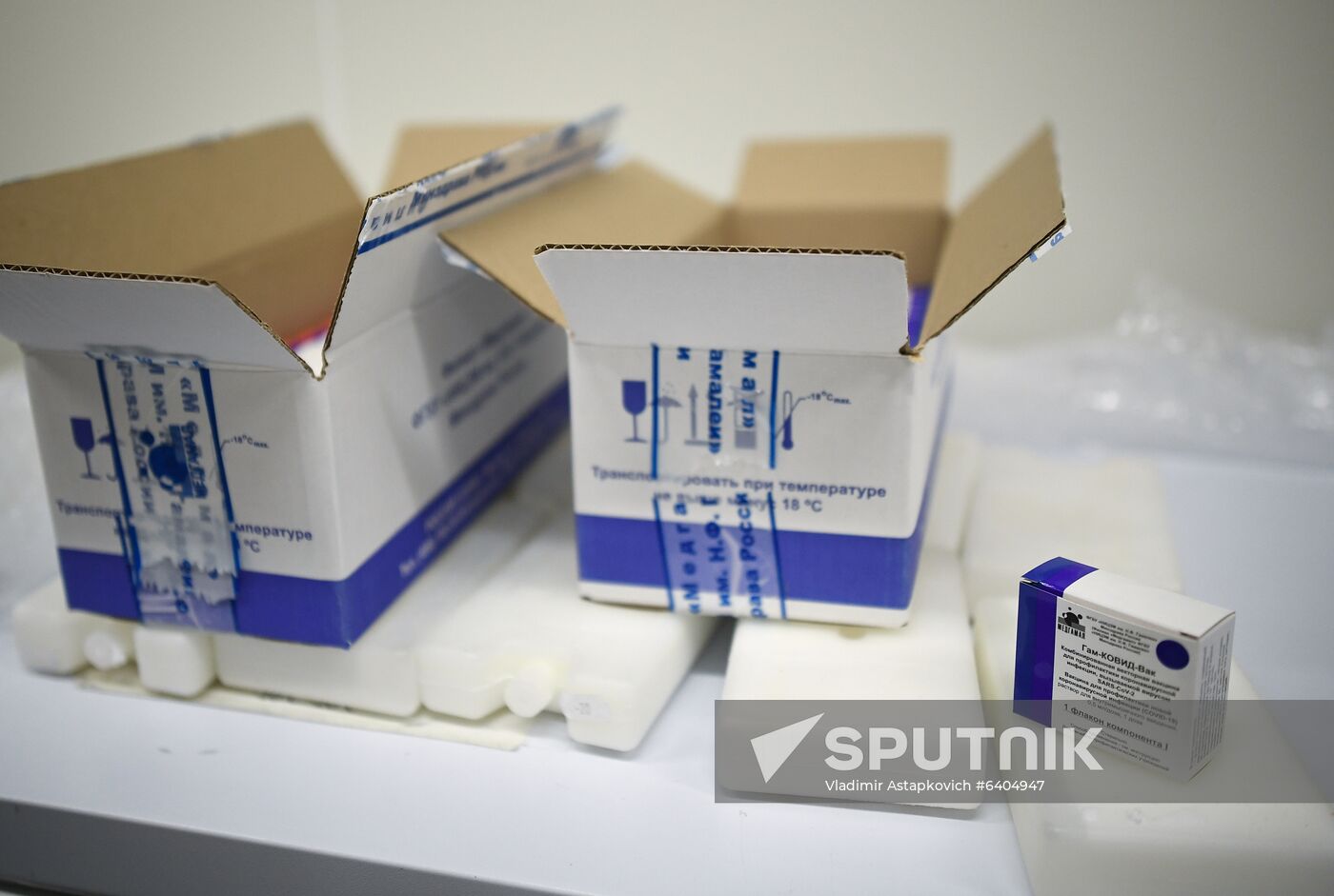 Russia Coronavirus Vaccine Export