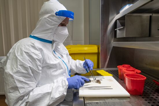 Russia Coronavirus Treatment