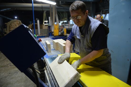 Russia Verkhnyaya Tura Economic Development