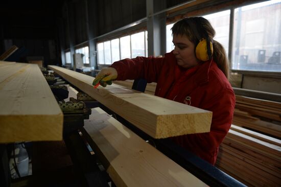 Russia Verkhnyaya Tura Economic Development
