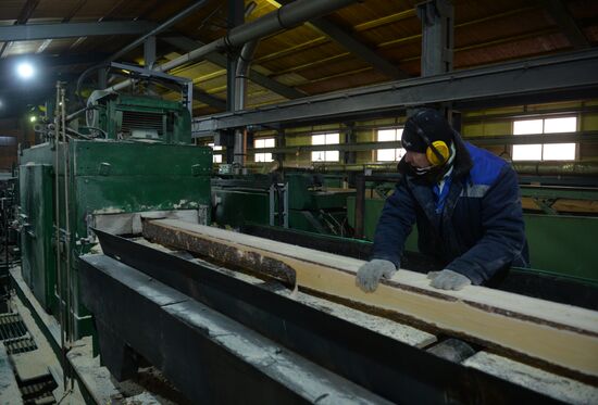 Russia Verkhnyaya Tura Economic Development