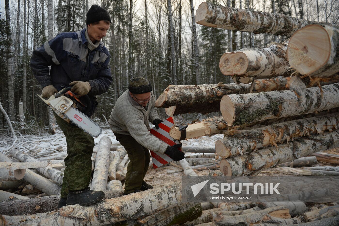 Russia Verkhnyaya Tura Economic Development