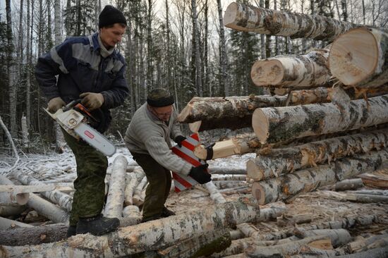 Russia Verkhnyaya Tura Economic Development