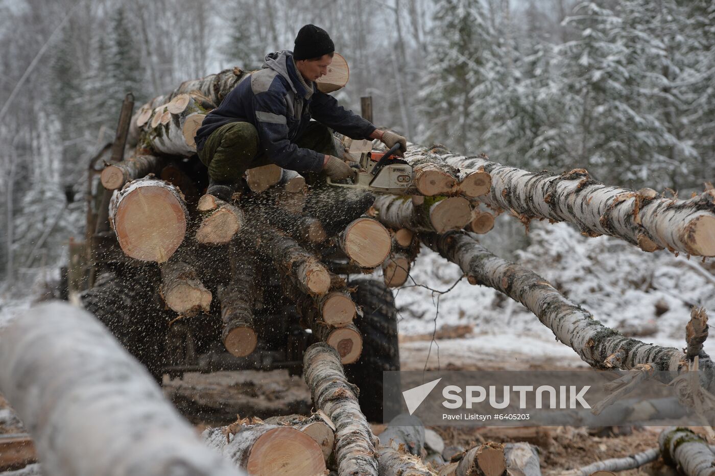 Russia Verkhnyaya Tura Economic Development