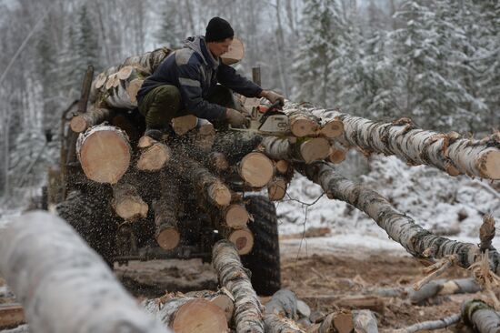 Russia Verkhnyaya Tura Economic Development