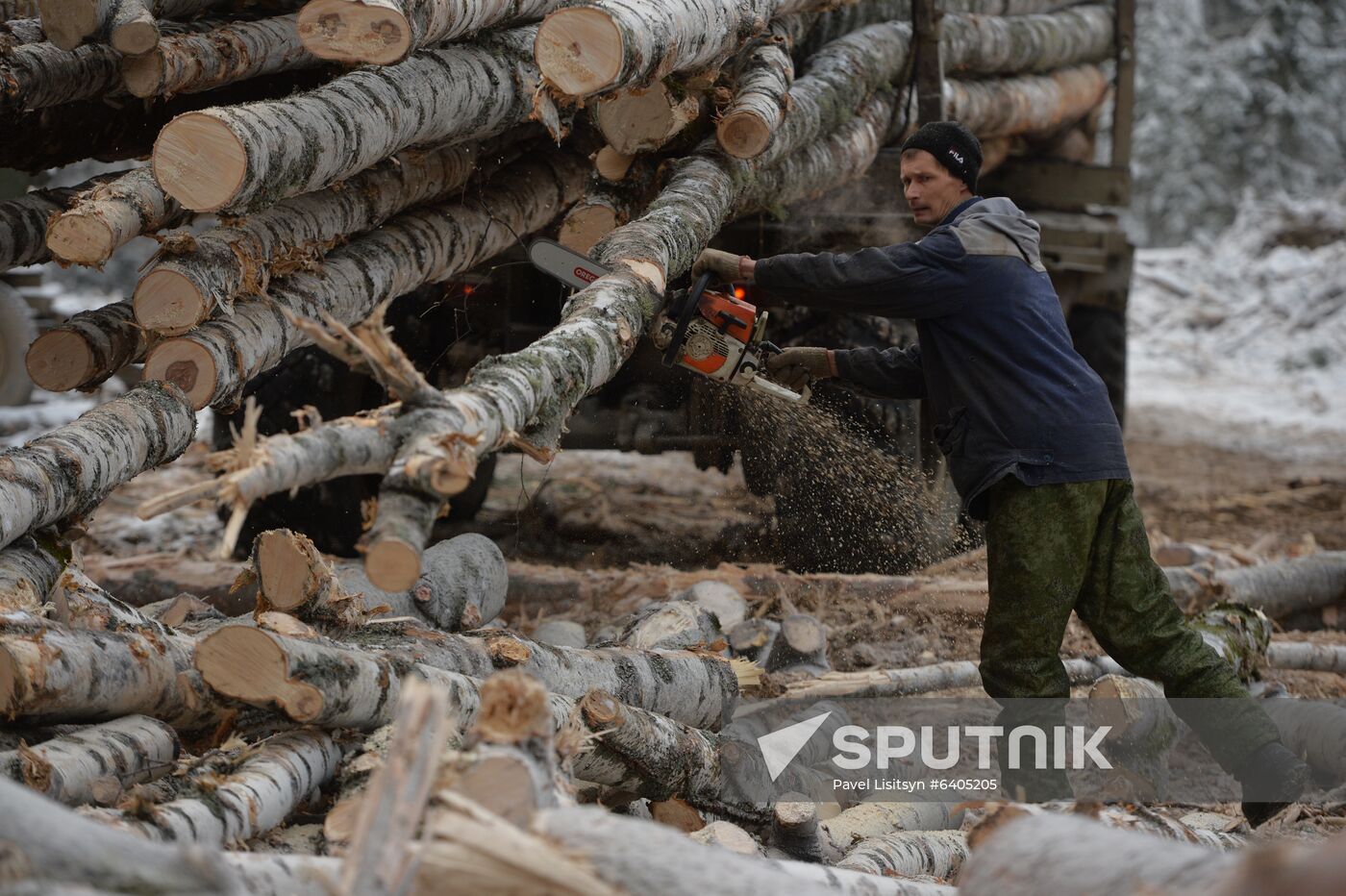 Russia Verkhnyaya Tura Economic Development
