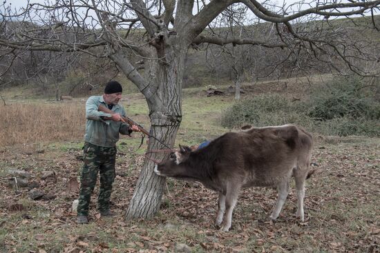 Nagorno-Karabakh Daily Life 