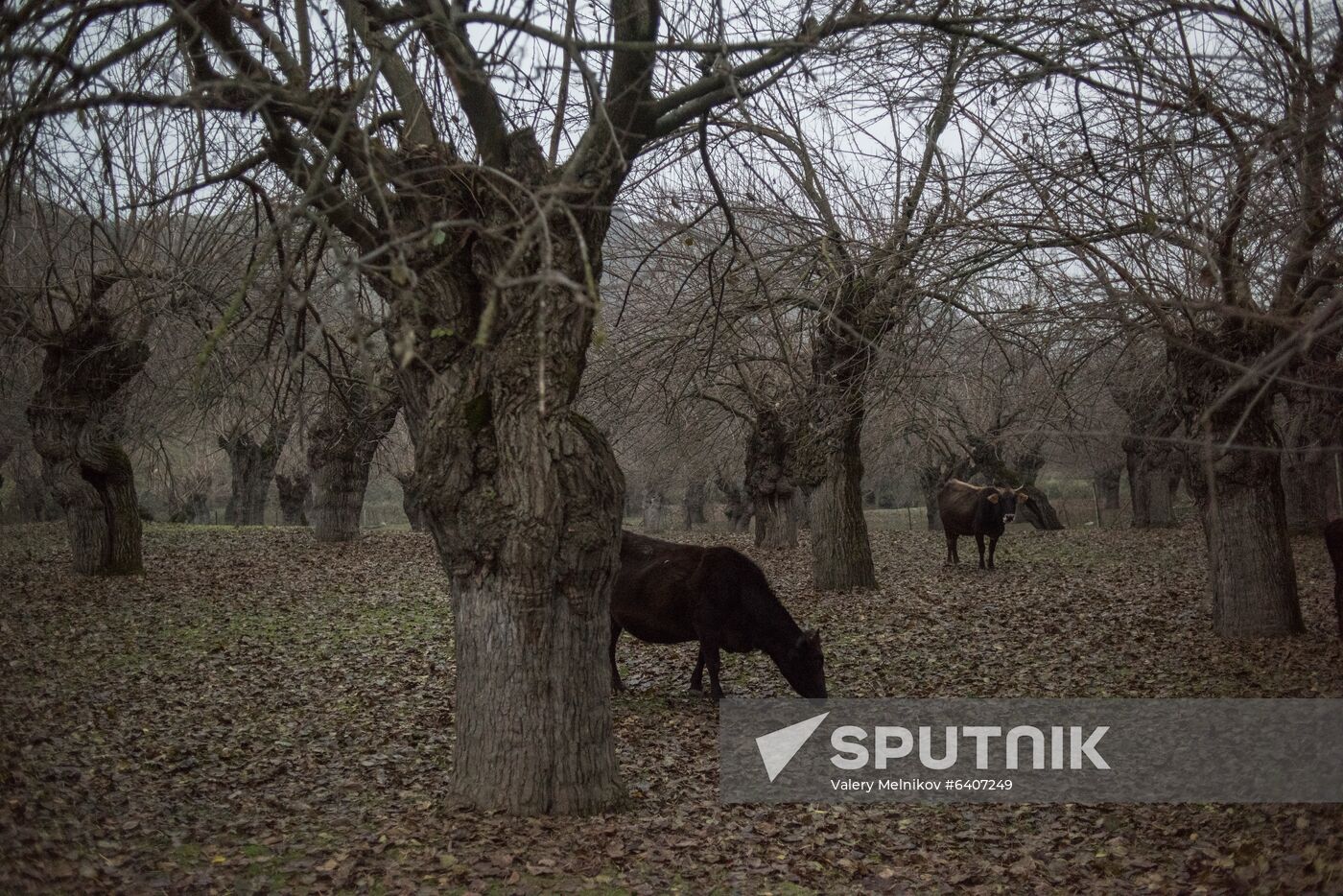 Nagorno-Karabakh Daily Life