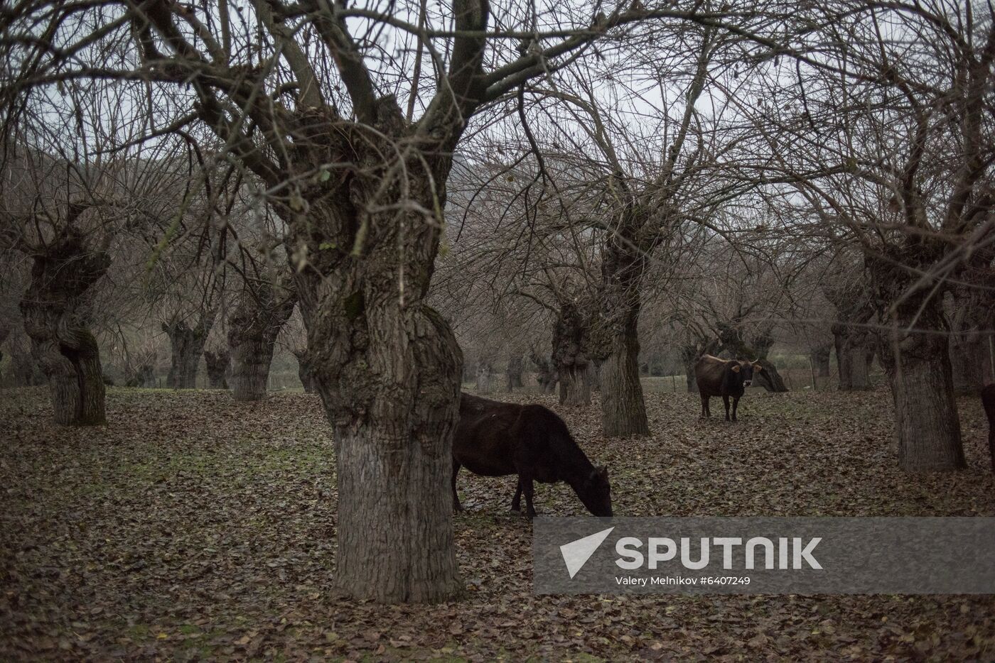 Nagorno-Karabakh Daily Life 