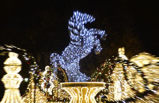 Poland Christmas Preparation