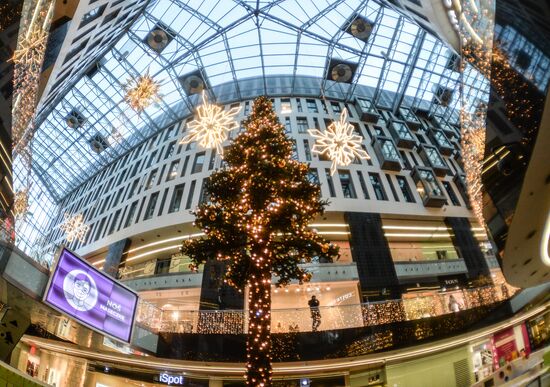 Poland Christmas Preparation
