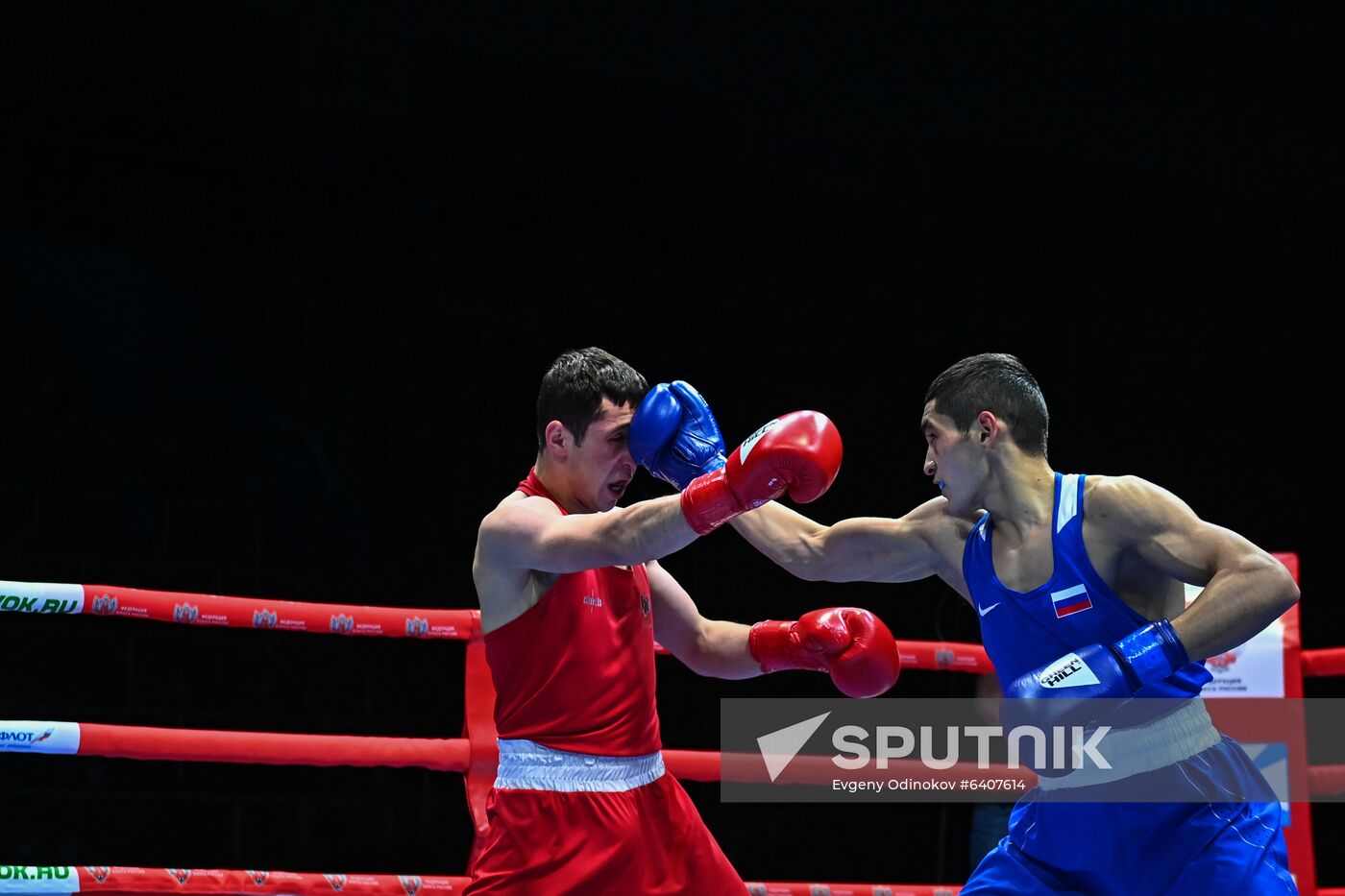Russia Boxing Championship