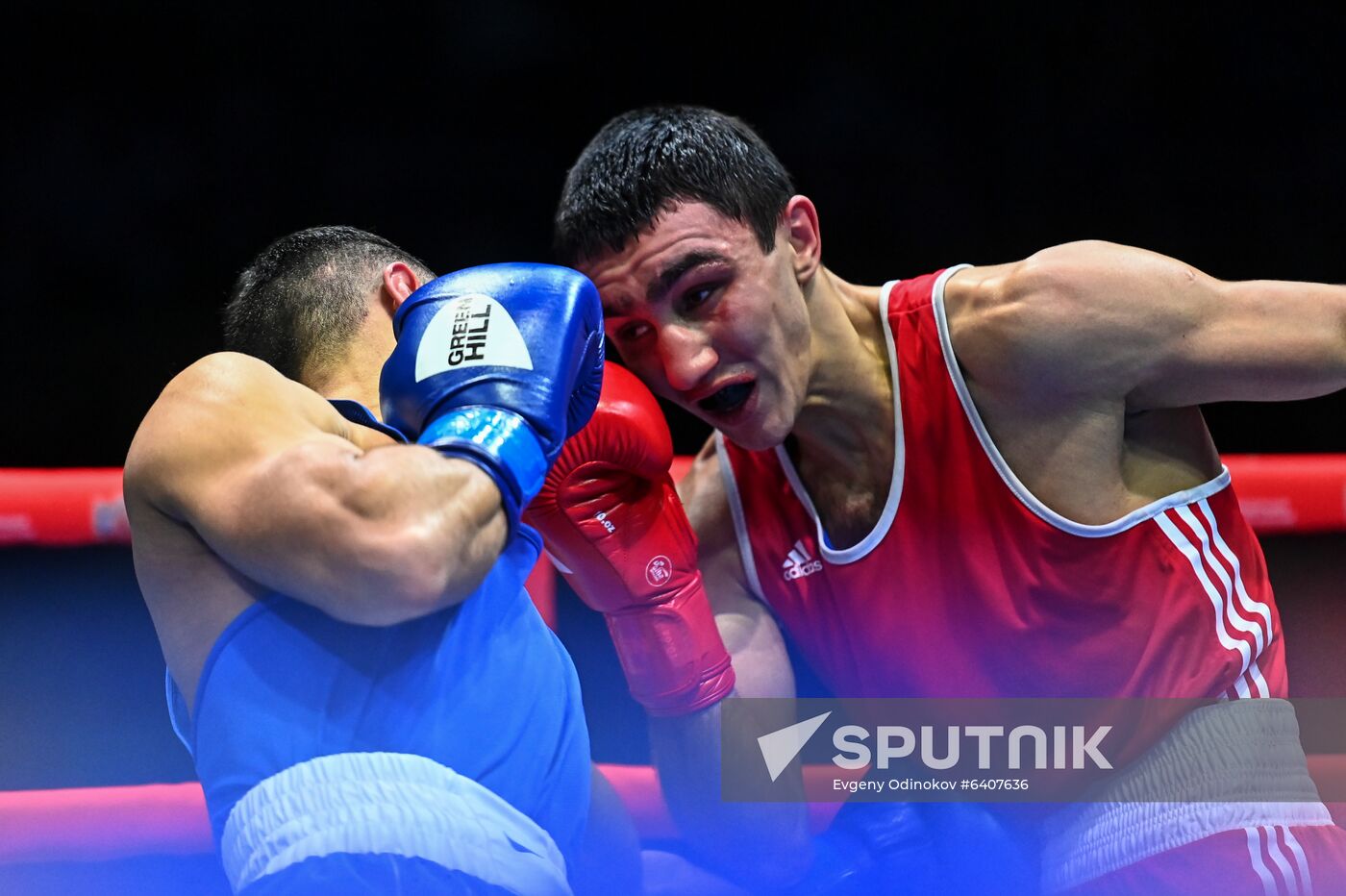 Russia Boxing Championship