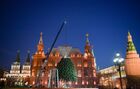 Municipal workers install a New Year Tree for the upcoming New Year and Christmas season at Manezh Square, in Moscow, Russia. Location: Russia, Moscow. Author: Sergey Guneev/Sputnik. Russia New Year Preparations