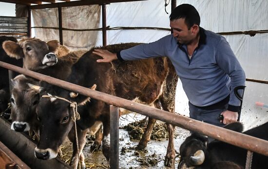 Azerbaijan Armenia Ceasefire