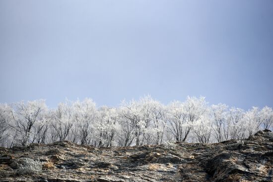 Russia Winter