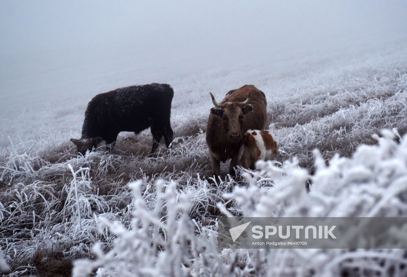 Russia Winter
